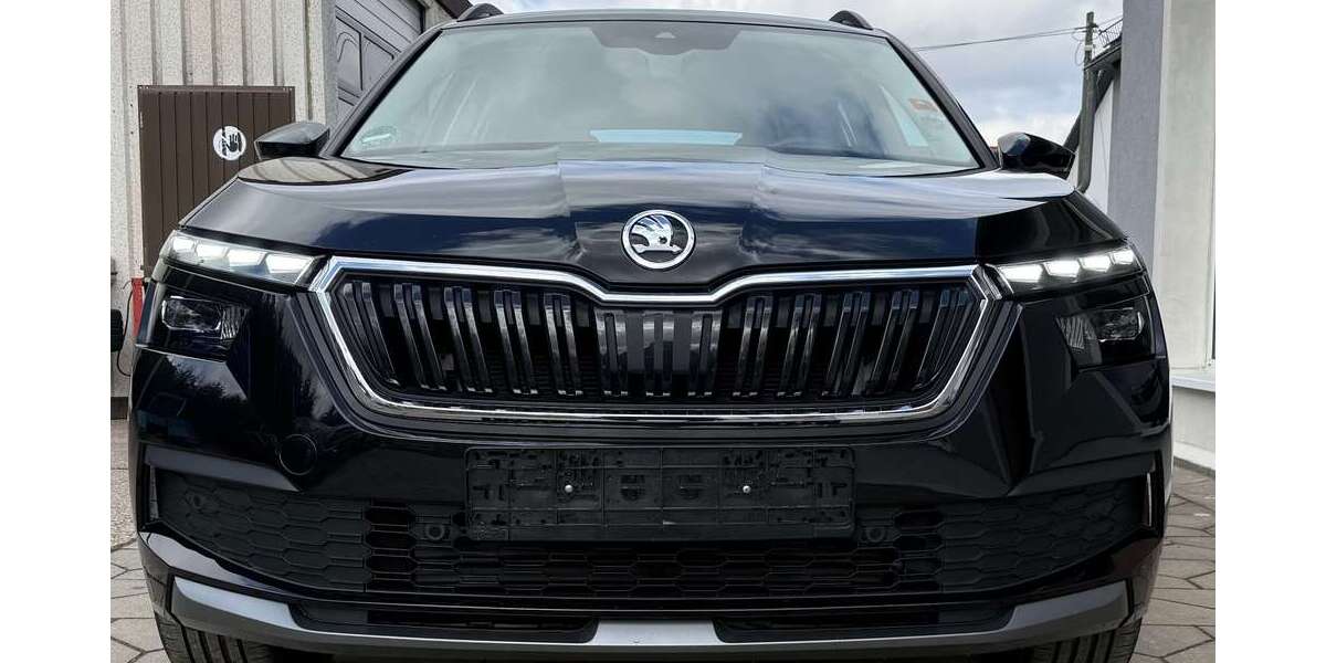 Skoda Kamiq 48.415 km 17.500 &euro; Heidenau 01809