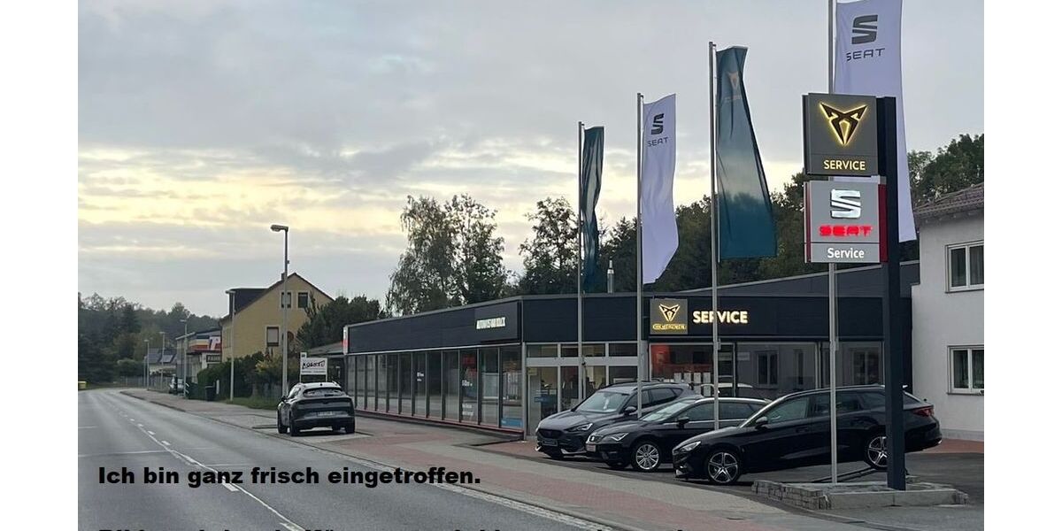 Cupra Leon 9.900 km 34.990 &euro; Dohna 01809