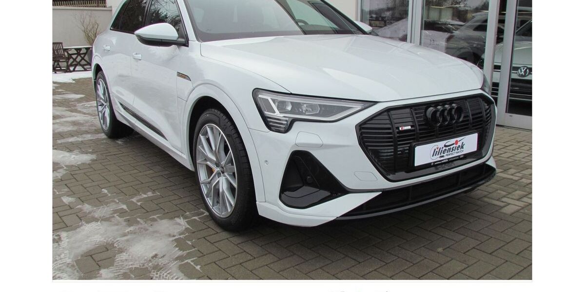 Audi e-tron 24.150 km 46.960 &euro; Dippoldiswalde 01744