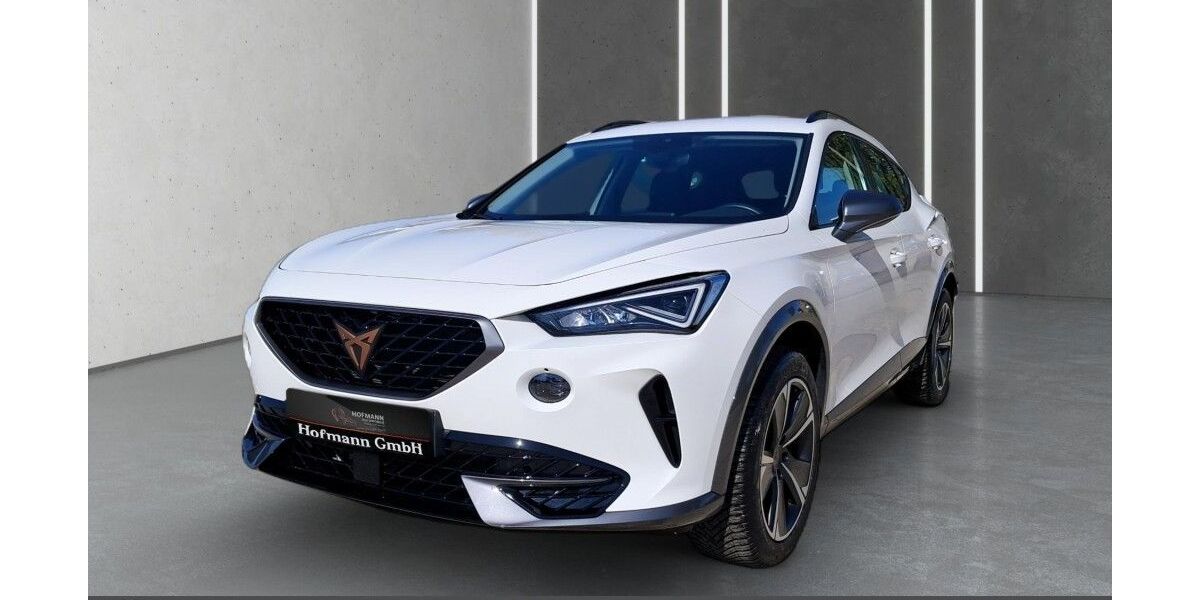 Cupra Formentor 29.000 km 24.900 &euro; Coswig 01640