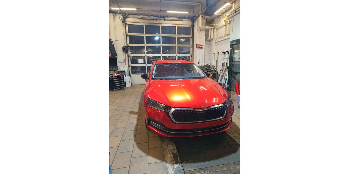 Skoda Octavia 69.500 km 19.500 &euro; Wilsdruff 01723