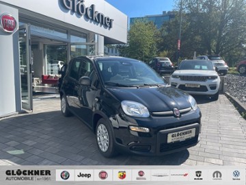 Gebrauchte Fiat Panda