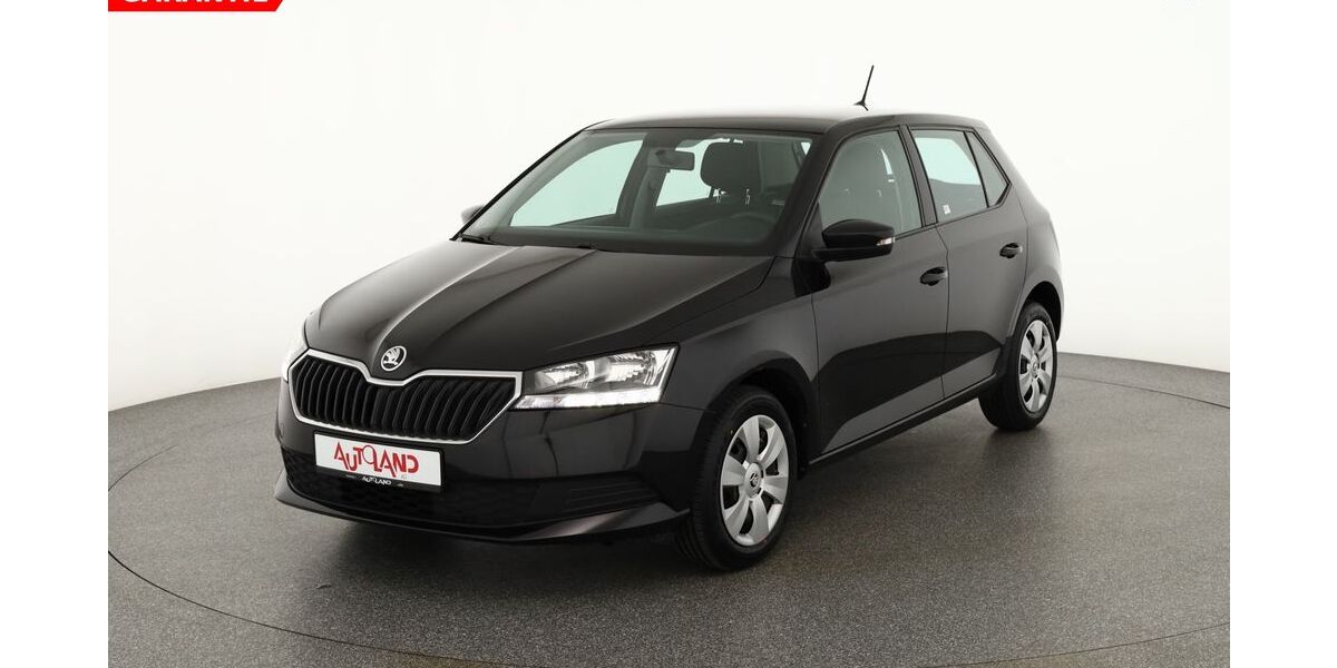 Skoda Fabia 67.164 km 12.890 &euro; Dresden 01069