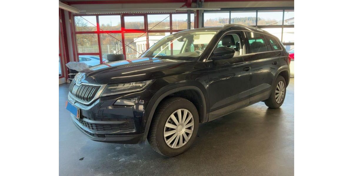 Skoda Kodiaq 86.749 km 25.990 &euro; Heidenau bei Dresden 01809
