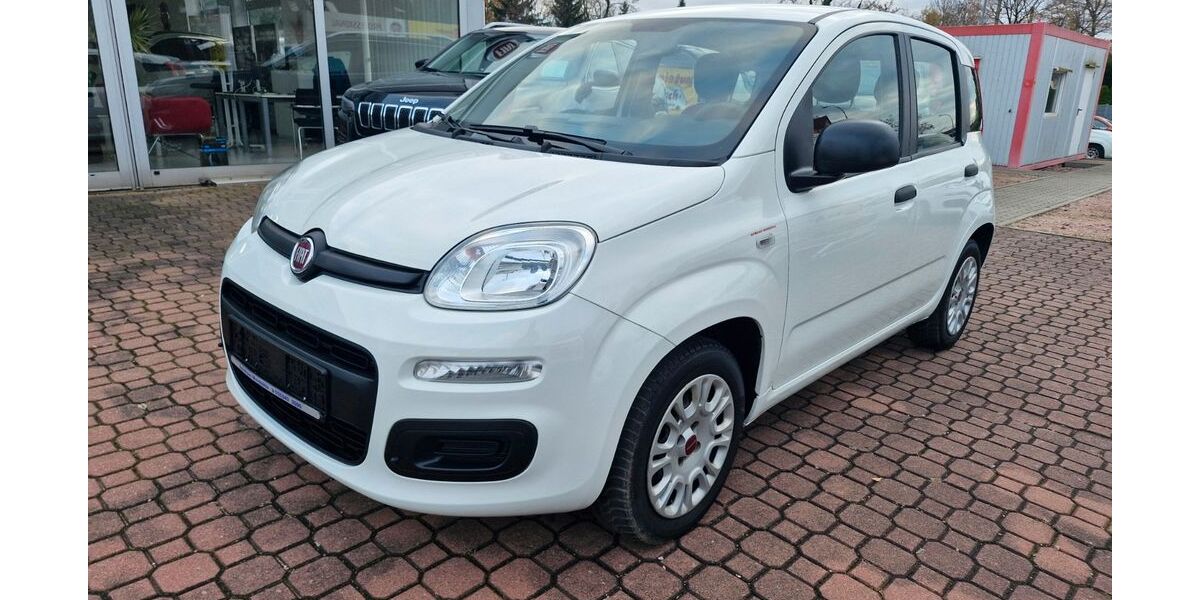 Fiat Panda 53.261 km 8.990 &euro; Weinböhla 01689