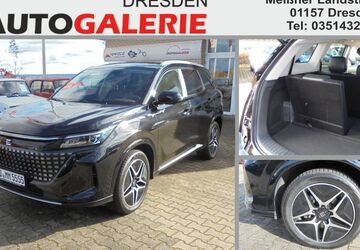 DFSK Fengon 600 14.000 km 29.170 &euro; Dresden 01157