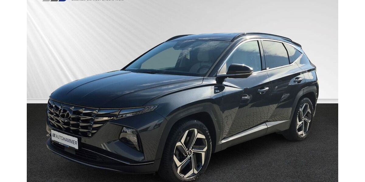 Hyundai TUCSON 106.800 km 21.980 &euro; Dresden / Radebeul 01445