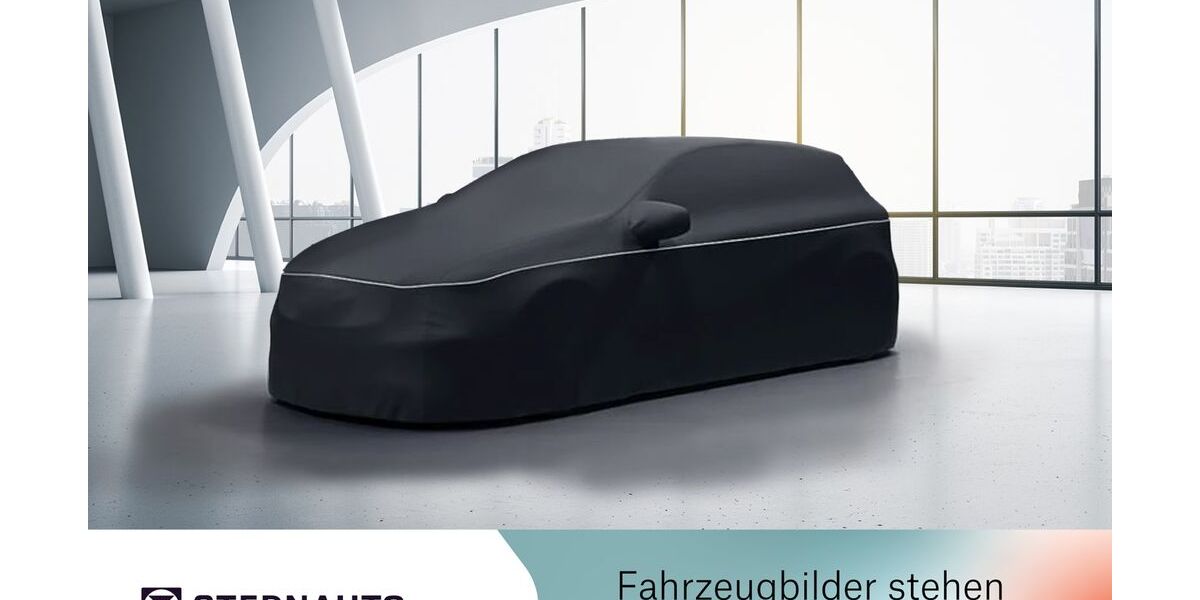 Mercedes-Benz Vito 153.054 km 38.990 &euro; Kesselsdorf 01723