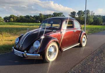 VW Käfer 9.999 km 17.400 &euro; Ottendorf-Okrilla 01458