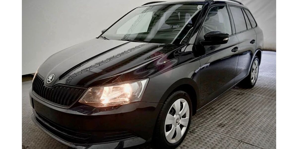 Skoda Fabia 99.890 km 7.999 &euro; Dresden 01157